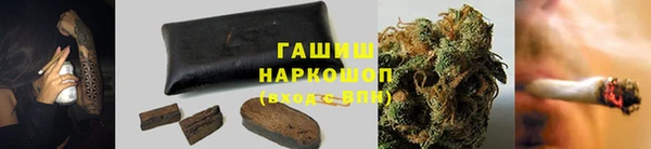 сатива Беломорск