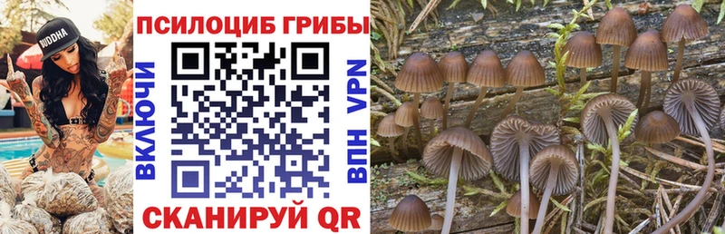 как найти закладки  Бугульма  Псилоцибиновые грибы прущие грибы 